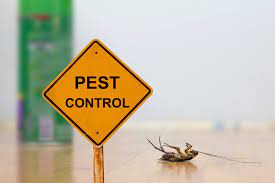 The Importance of Routine Pest Control Services for Homeowners in Gilbert, AZ