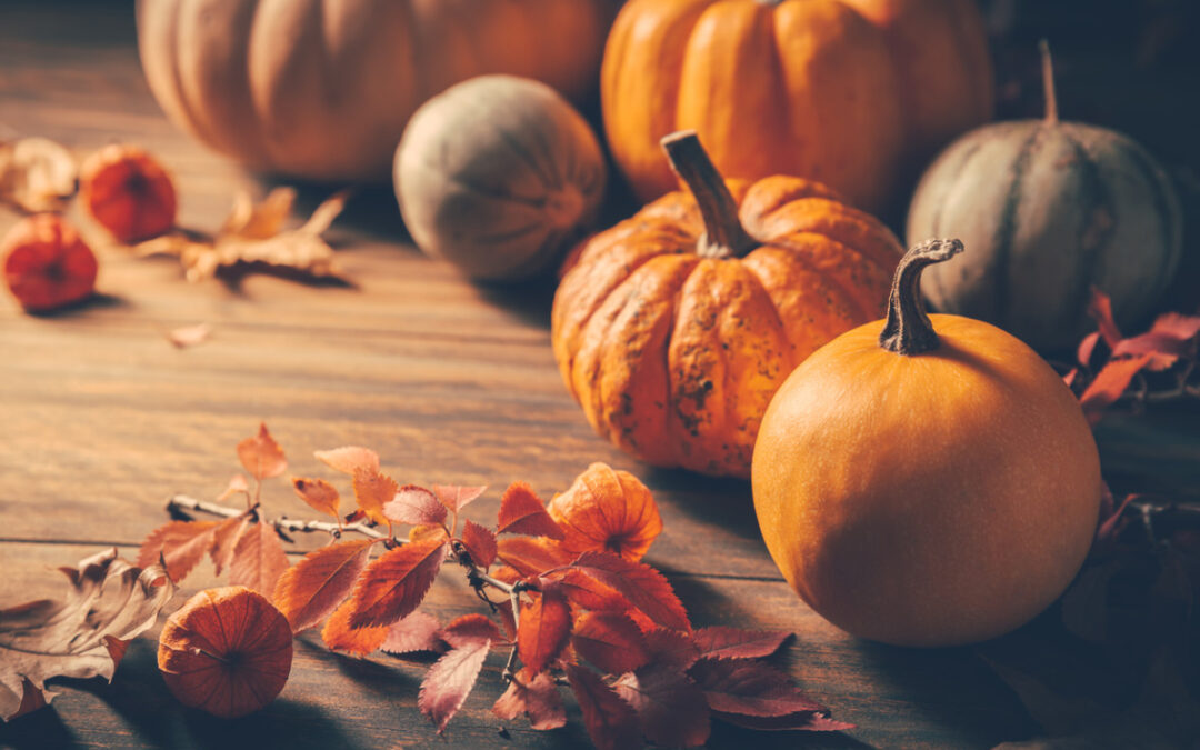 Why Fall in Arizona is the Perfect Time to Tackle Home Projects